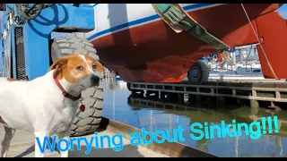 Will the abandoned boat Sink?  Launch Day Irwin 43