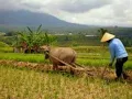 Download Lagu Nining meida-mojang priangan degung sunda jawa barat