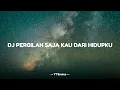 Download Lagu DJ PERGILAH SAJA KAU DARI HIDUPKU - REMIX