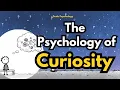 The Psychology of People Who Question Everything Why Curiosity Can Feel Like Chaos