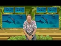 MOVE Like the Animals Do and FREEZE! | Jack Hartmann