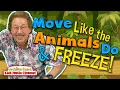 Download Lagu MOVE Like the Animals Do and FREEZE! | Jack Hartmann