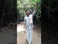 Download Lagu ஐயப்பன் பம்பை உடுக்கை பாடல் பம்பா நதி கரை ஓரம்