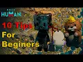 Once Human 10 Essential Tips for Beginners
