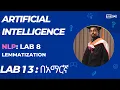 Lemmatizer NLP Data Preprocessing for Deep Learning Lab 13