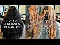 I Removed 5 Years of Black Hair Dye in ONE Session Color Correction
