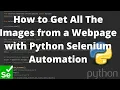 How to Get All The Images from a Webpage with Python Selenium Automation using find elements method