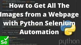 How to Get All The Images from a Webpage with Python Selenium Automation using find elements method