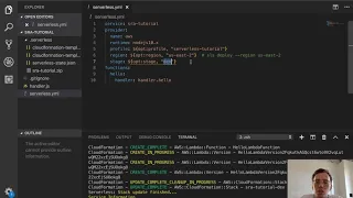 Serverless Zero to Paid Professional - SLS Dynamic Variables