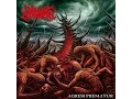 Download Lagu SOUL OF SLAMMING - AGRESI PREMATURE [2018] SICKEST DEATH METAL LAMPUNG | DRUMMER CEWEK