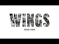 Paul McCartney & Wings - Junior’s Farm (Audio)