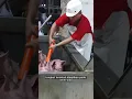 Pemingsanan Babi dengan Aliran Listrik di Filipina!