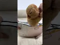 It just a pillow