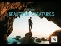 Illenium - Beautiful Creatures (Lyric Video) feat. MAX