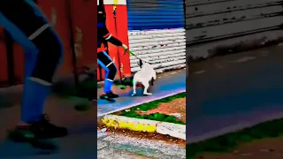 نجلبو الموطويات يعشقو فينا الفتيات 