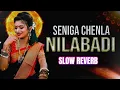 Download Lagu Seniga Chenla Nilabadi Telugu Folk Slow+Reverb Song 2024
