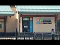 Adopt Don t Shop Inside Cheyenne Animal Shelter - You Won t Believe These Pets Stories