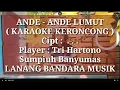 ANDE-ANDE LUMUT,KARAOKE,Tri Hartono,LANANG BANDARA MUSIK