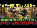 【海外の反応】「日本一怖い神社？ビビりすぎw」達磨神社で霊を馬鹿にし侮辱行為を繰り返す外国人。３分後、彼らに恐ろしすぎる天罰が！