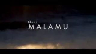 malamu remix official video