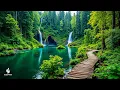 Download Lagu Kalmeer je geest in de natuur 🌿 Ontspannende pianomuziek voor genezing en evenwicht