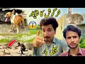 Download Lagu KharGosh Ka Shikar ZindGi Main Pheli Bar 😮شیکار ہی شیکار 