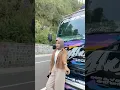 Download Lagu story wa ledis truk || story wa truk #shorts #storywa #drivermuda #ledistruck #story #trukoleng