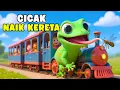 Lagu Cicak Cicak di Dinding 🦎 - Naik kereta Api dan Lagu Anak Indonesia Lainnya - TK PAUD