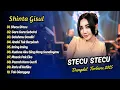 Download Lagu Shinta Gisul - STECU STECU - GARA GARA SEBOTOL - SALAHMU SENDIRI || DANGDUT TERBARU 2025
