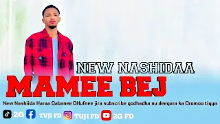 Mame Bej New Nashiida 2025 