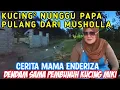 Download Lagu Dendam Mama Enderiza Kepada Orang Yang Dulu Telah Membunuh Kucing Pertama Kami Si MIKI 😥😭😡