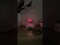 Midnight Grove Scentsy Warmer Harvest 2025