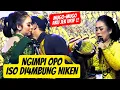 Lagu MAS JOLANG KESENENGEN !! DI4MBUNG NIKEN SALINDRY BOLAK-BALIK