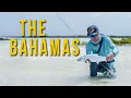 CHASING SHADOWS 7 Days of Flats Fishing in the Bahamas DIY Bonefish