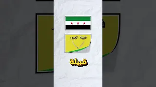 أكبر 8 قبائل في سوريا اكسبلور تاريخ قصص History تيك توك ترند معلومات سوريا دمشق 