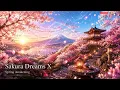 Sakura Dreams X | Spring Awakening 🌸 Joyful Solo Nylon Guitar for a New Spring