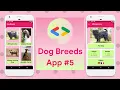 Dog Breeds App - Flutter Live Coding