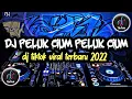 DJ PELUK CIUM PELUK CIUM BOLAK BALIK - DJ TIKTOK VIRAL TERBARU 2022