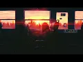 RM 'Wild Flower (with youjeen)' Offecial MV || 1 Hour lofi music || LOPHASE || #wildflower #bts #rm