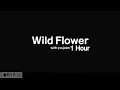 RM 'Wild Flower (with youjeen)' Offecial MV || 1 Hour lofi music || LOPHASE || #wildflower #bts #rm