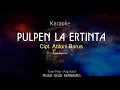 Download Lagu PULPEN LA ERTINTA Tone Pria Karaoke Pop Karo