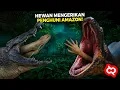 Download Lagu PREDATOR BUAS PENGUASA AMAZON.!! Hewan² Paling Berbahaya yang Hanya Ada di Hutan Sungai Amazon