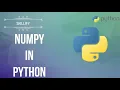 PYTHON ZERO TO HERO DAY NUMPY in Python