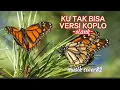 Download Lagu KU TAK BISA (SLANK) VERSI KOPLO  - Evi Rosita