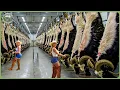 Download Lagu How Goat Cheese \u0026 Meat Are Processed - Massive Millions of Goat Farming \u0026 Processing