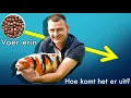 Download Lagu Een goed voorfilter is onzin?