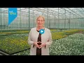 KasTopics - Campagne ontdeksierteelt.nl, het Plantgezondheid Event en  water tijdens de teeltwissel