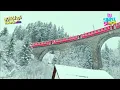 BEST OF GOODLYFE RADIO AND WEASEL NONSTOP VIDEO SUPREMACY SOUNDS AND WAKANDA DEEJAYS 2025 MUSIC