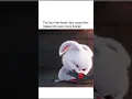 This bunny s got more attitude than me on a Monday