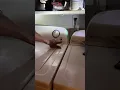 Como resetear o programar y darle buen uso a una lavadora Amana semi electronica puerta de arriba